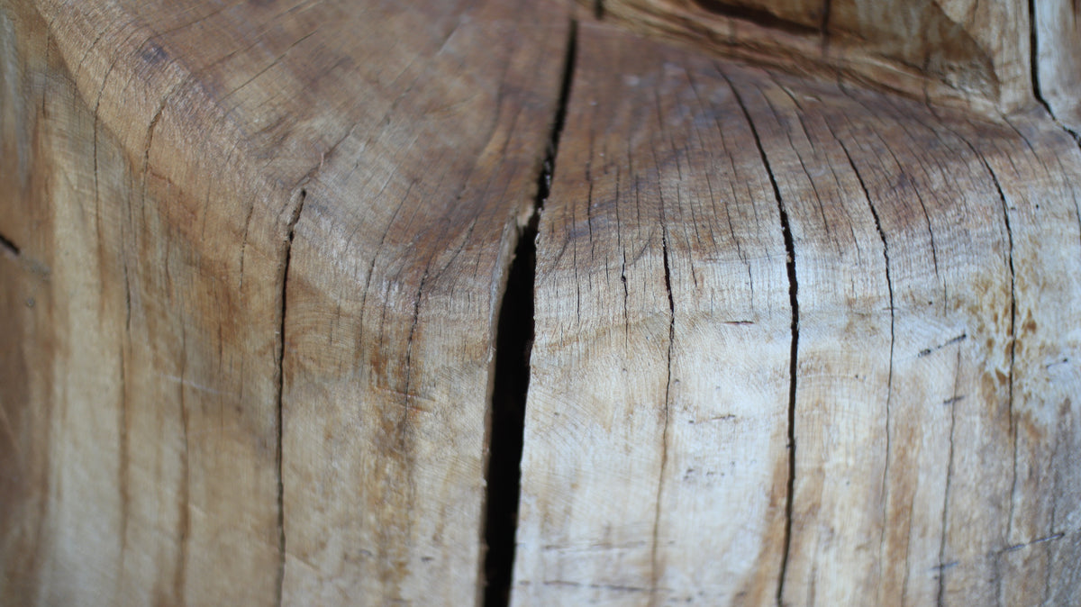 Sculpting and 3d art in woodworking | Stop the cracking.