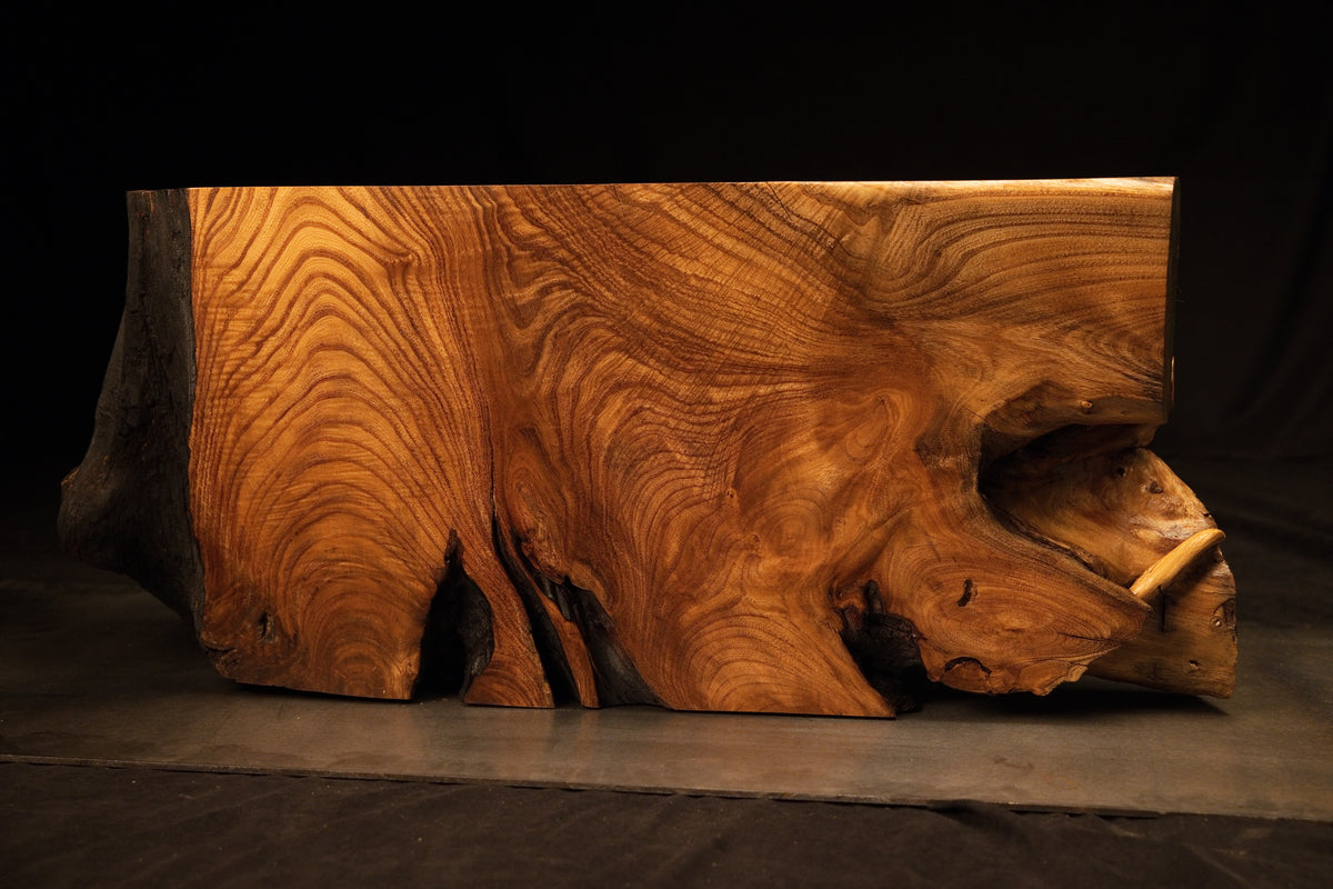 Relic-Grade Botanical Monoliths & Biophilic Architectural Art Transylvania
