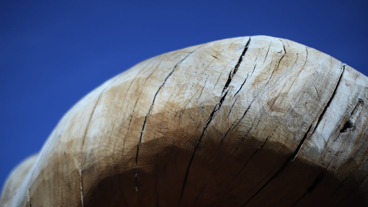 Sculpting and 3d art in woodworking  |  Stop the cracking.
