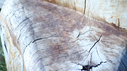 Sculpting and 3d art in woodworking  |  Stop the cracking.