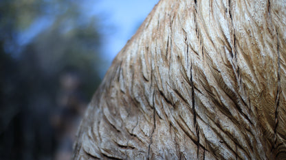 Sculpting and 3d art in woodworking  |  Stop the cracking.