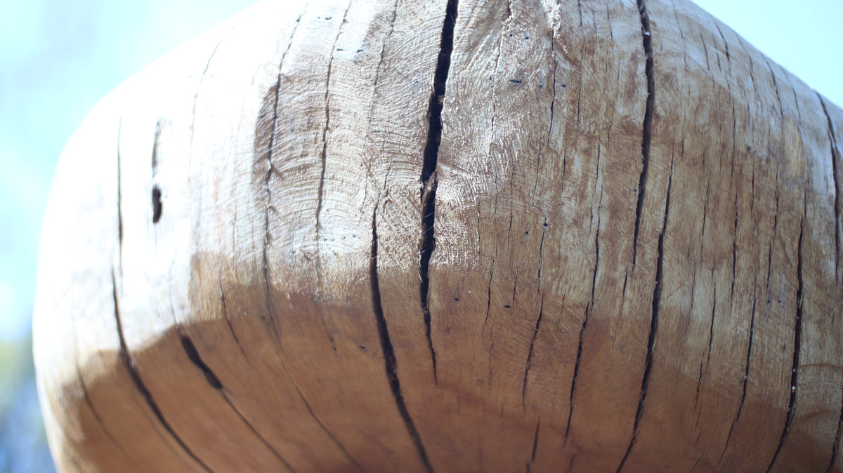 Sculpting and 3d art in woodworking  |  Stop the cracking.