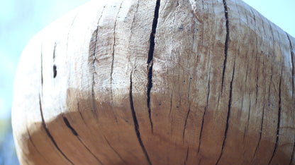Sculpting and 3d art in woodworking  |  Stop the cracking.
