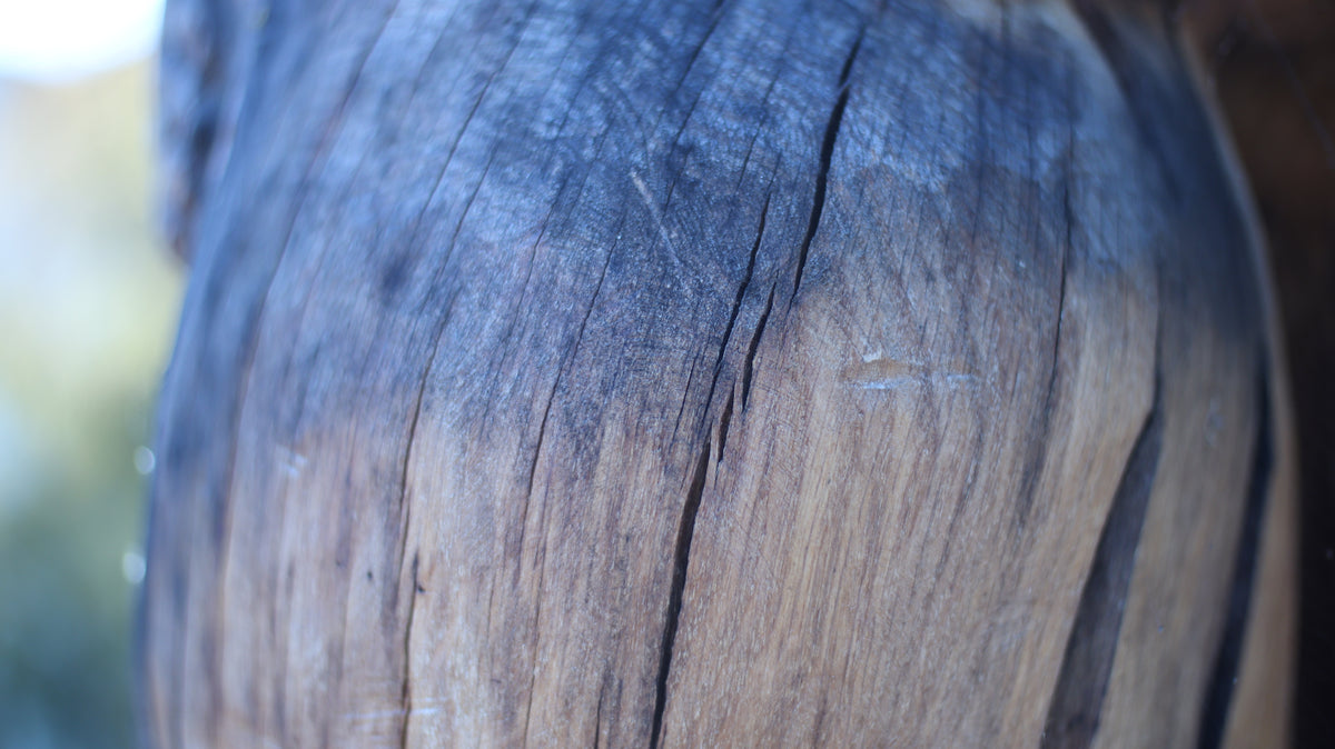Sculpting and 3d art in woodworking  |  Stop the cracking.