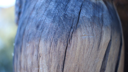 Sculpting and 3d art in woodworking  |  Stop the cracking.