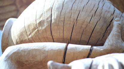 Sculpting and 3d art in woodworking  |  Stop the cracking.