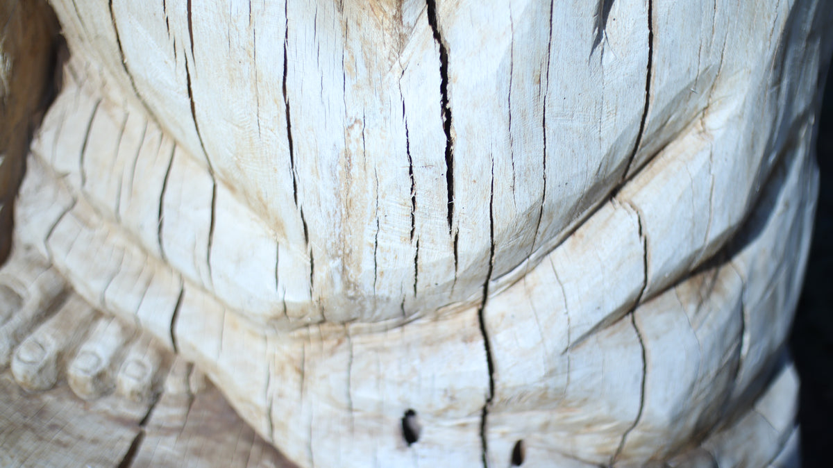 Sculpting and 3d art in woodworking  |  Stop the cracking.
