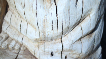 Sculpting and 3d art in woodworking  |  Stop the cracking.