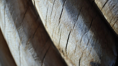 Sculpting and 3d art in woodworking  |  Stop the cracking.