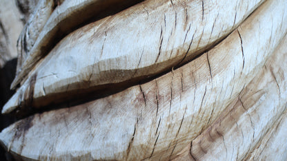 Sculpting and 3d art in woodworking  |  Stop the cracking.