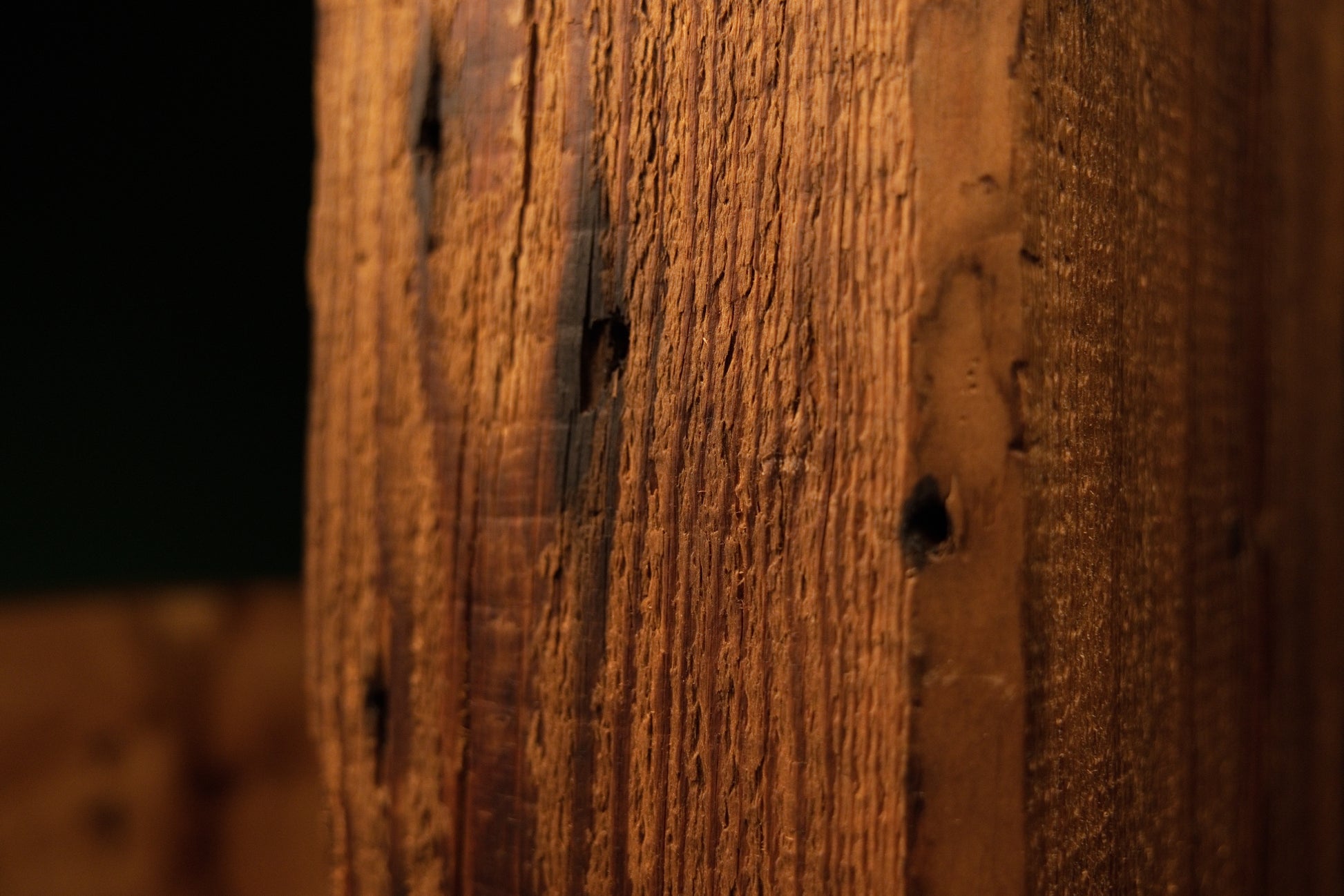 Close detail of natural surface checking and vertical grain lines running along a climate-stable architectural timber block.