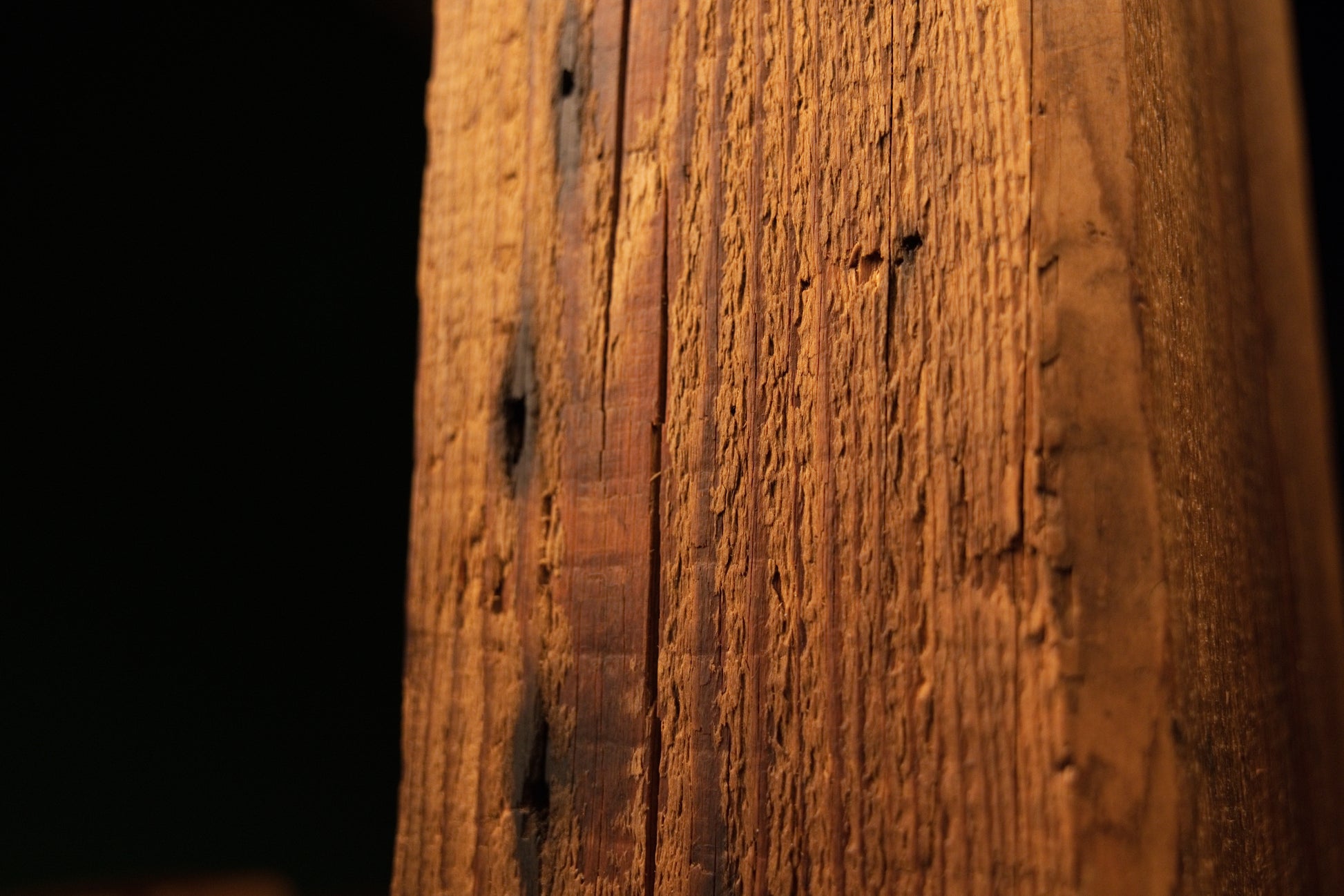 Macro perspective highlighting subtle natural blemishes and straight wood fibers on a floor-heating compatible wooden element.
