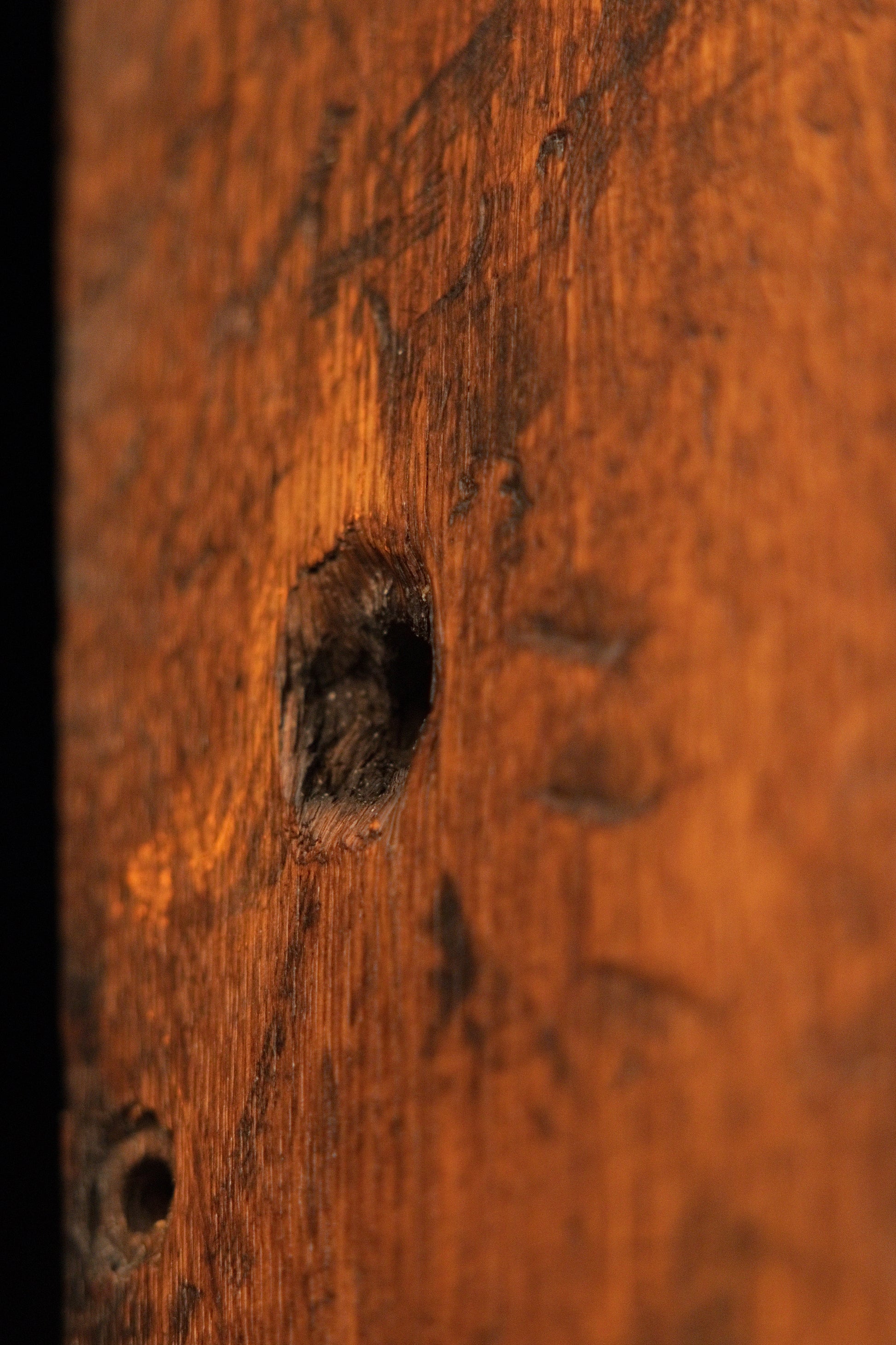 Close-up of a deep structural cavity within the architectural relic wood showcasing natural decay preserved for biophilic design. 