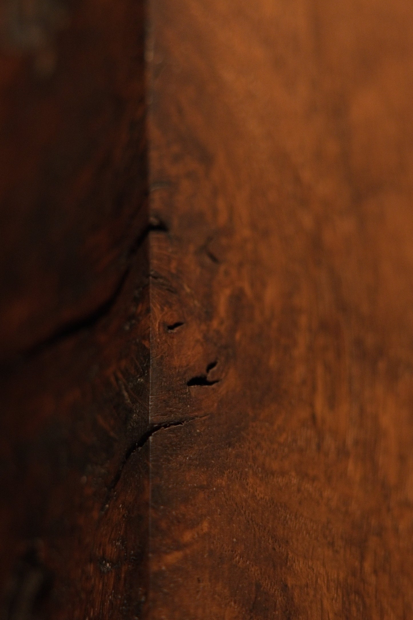 Detailed view of a micro-porous natural wood void inside the heritage relic piece demonstrating structural thermal stability. 