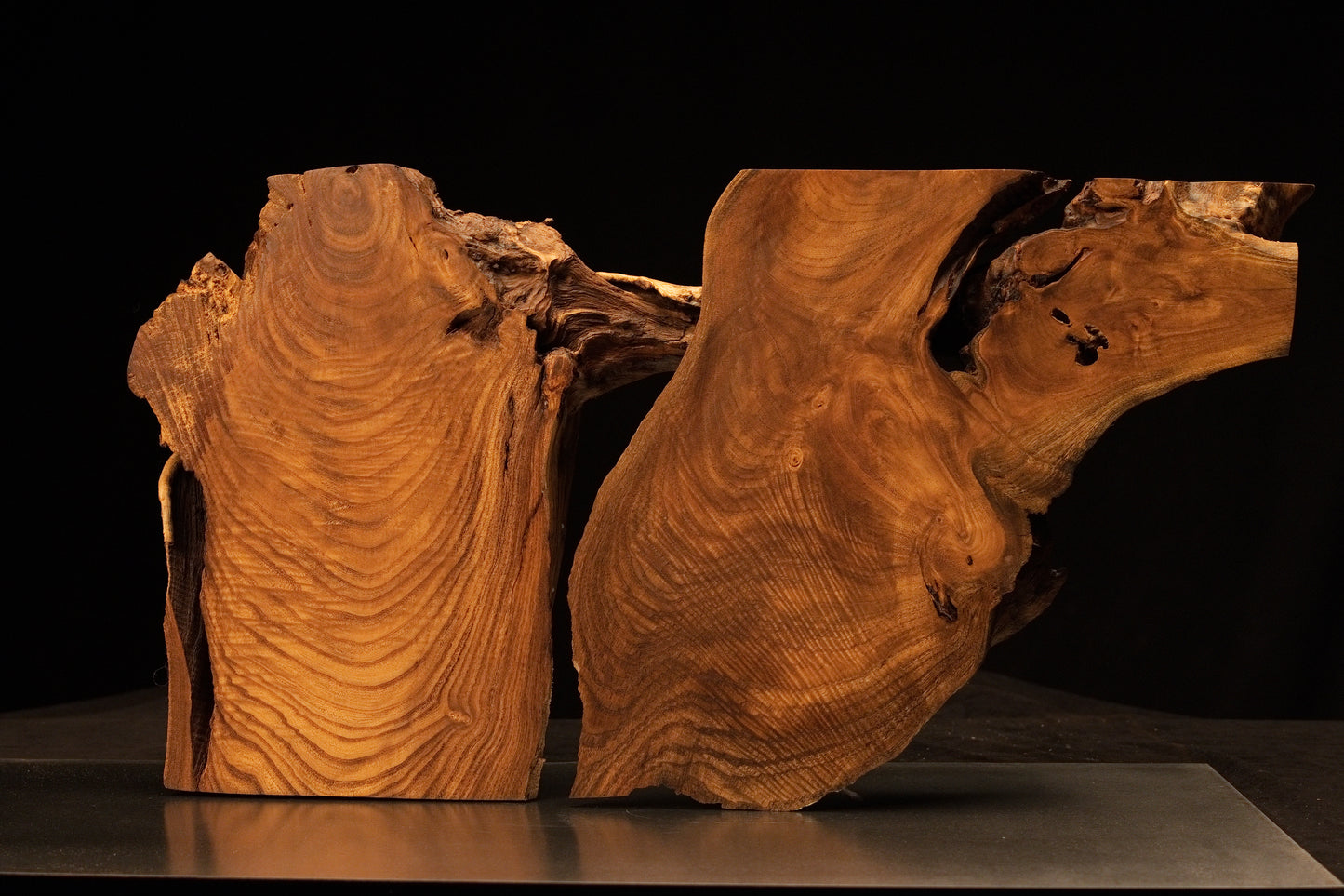 Straight front perspective of the two-part medium oak root sculpture displaying swirling grain patterns and deep organic dark voids.