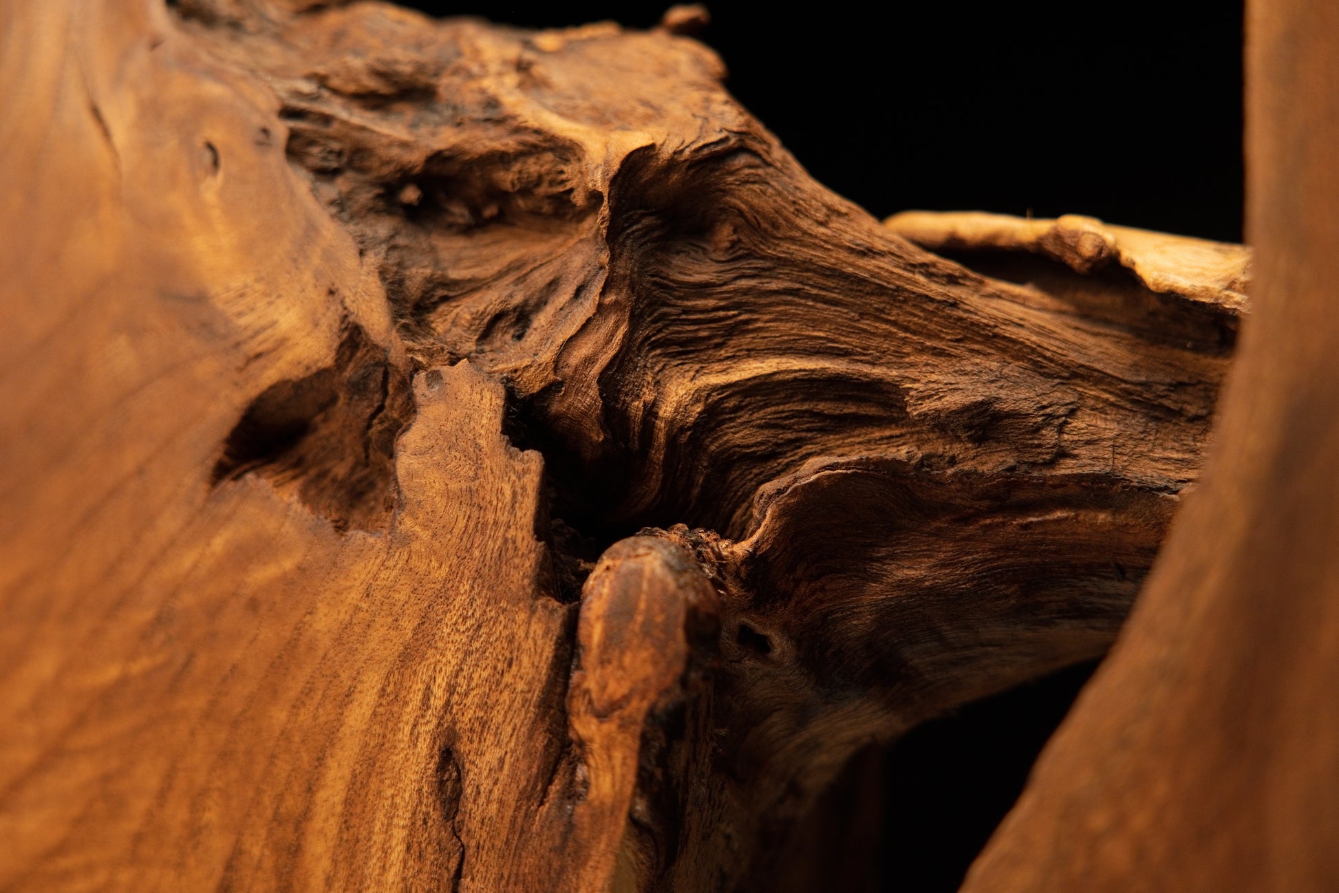 Macro close-up of complex organic wood crevices and deep weathered wood textures inside the handcrafted oak root art centerpiece.