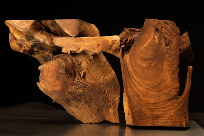 Full front view of the paired medium oak root sculpture showing the bridging top section and rich amber grain across the body.