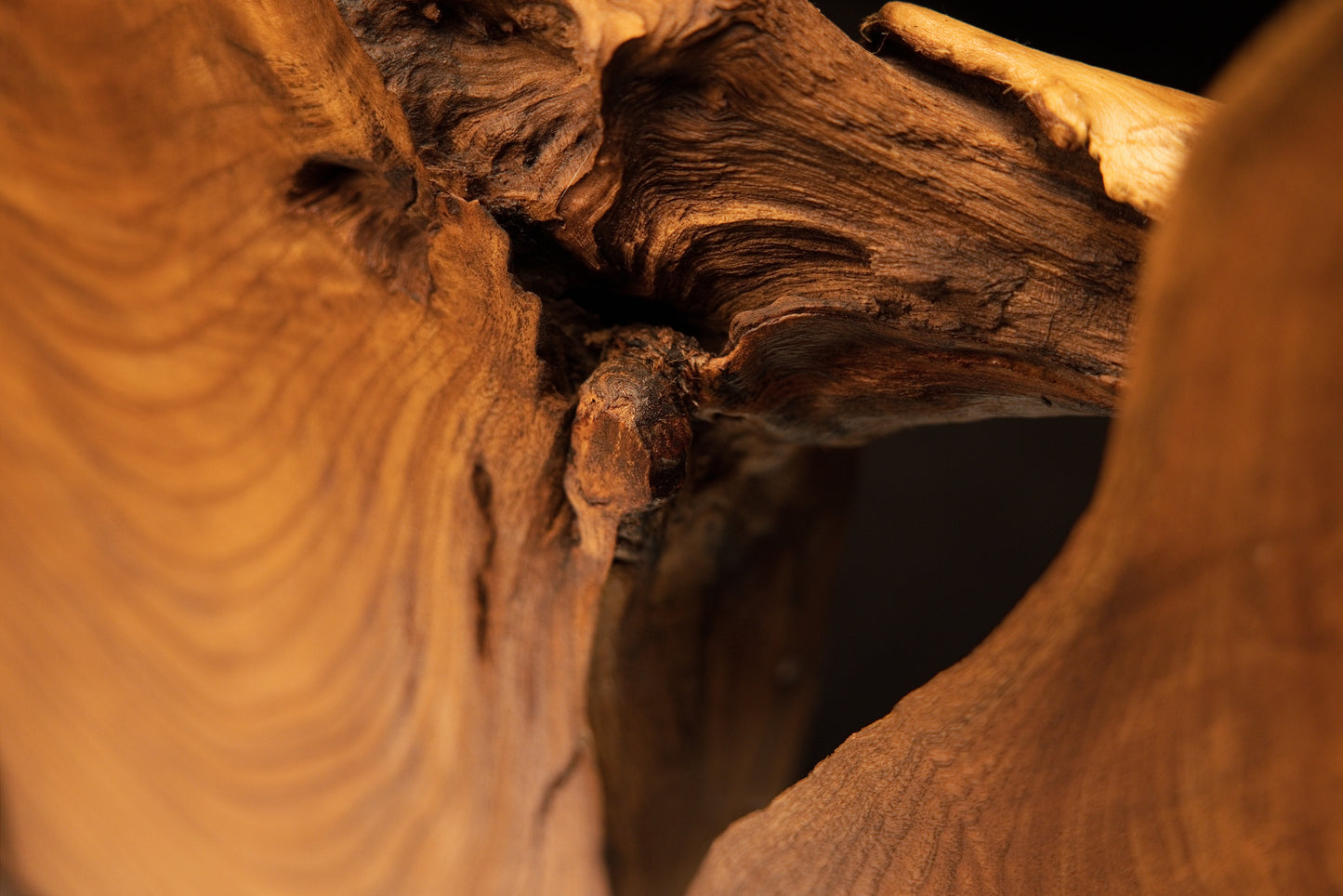 Detailed close-up inside the central dark hollow pocket of the medium oak root art piece showing rough natural weathered textures.