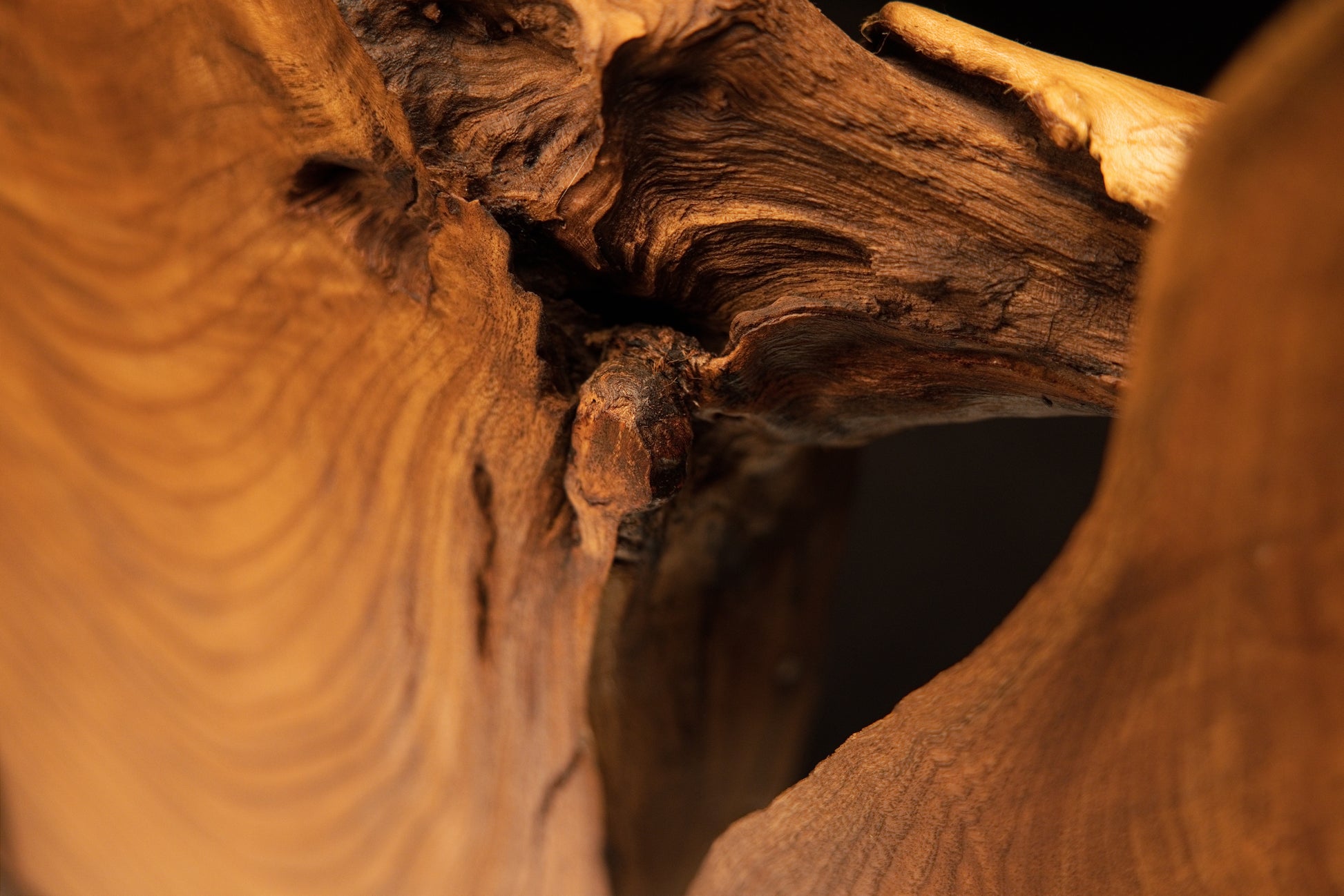 Detailed close-up inside the central dark hollow pocket of the medium oak root art piece showing rough natural weathered textures.