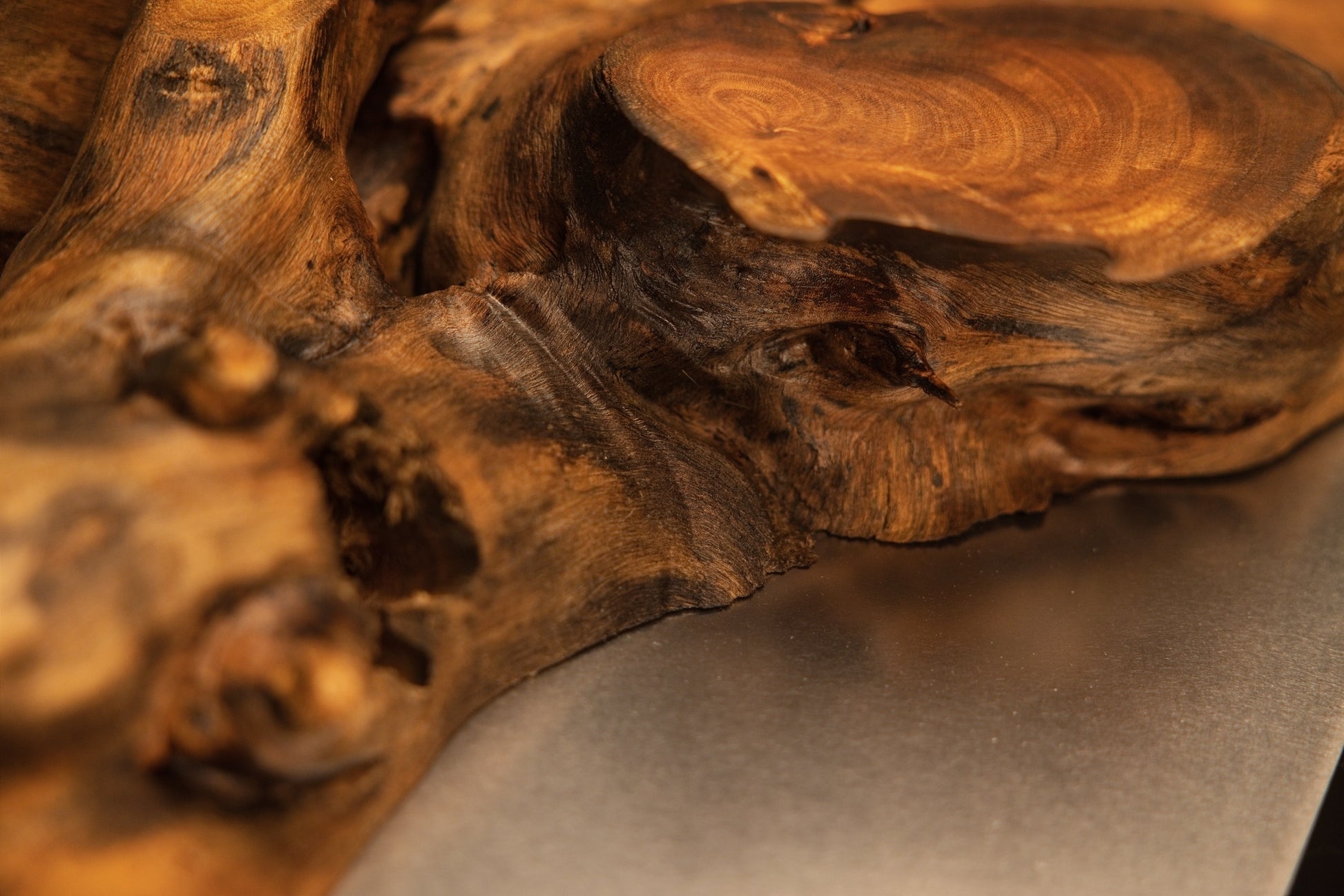 Macro shot of horizontal root structures resting on the dark studio surface, featuring tight knots and warm glowing wood tones.