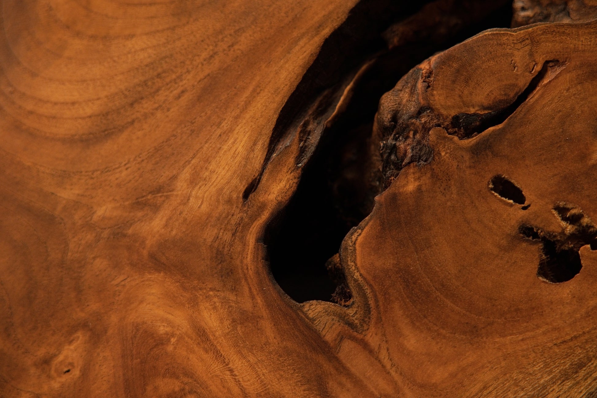 Close-up of a dramatic dark organic void opening up between smooth flowing golden-brown wood grain sections on the medium sculpture.