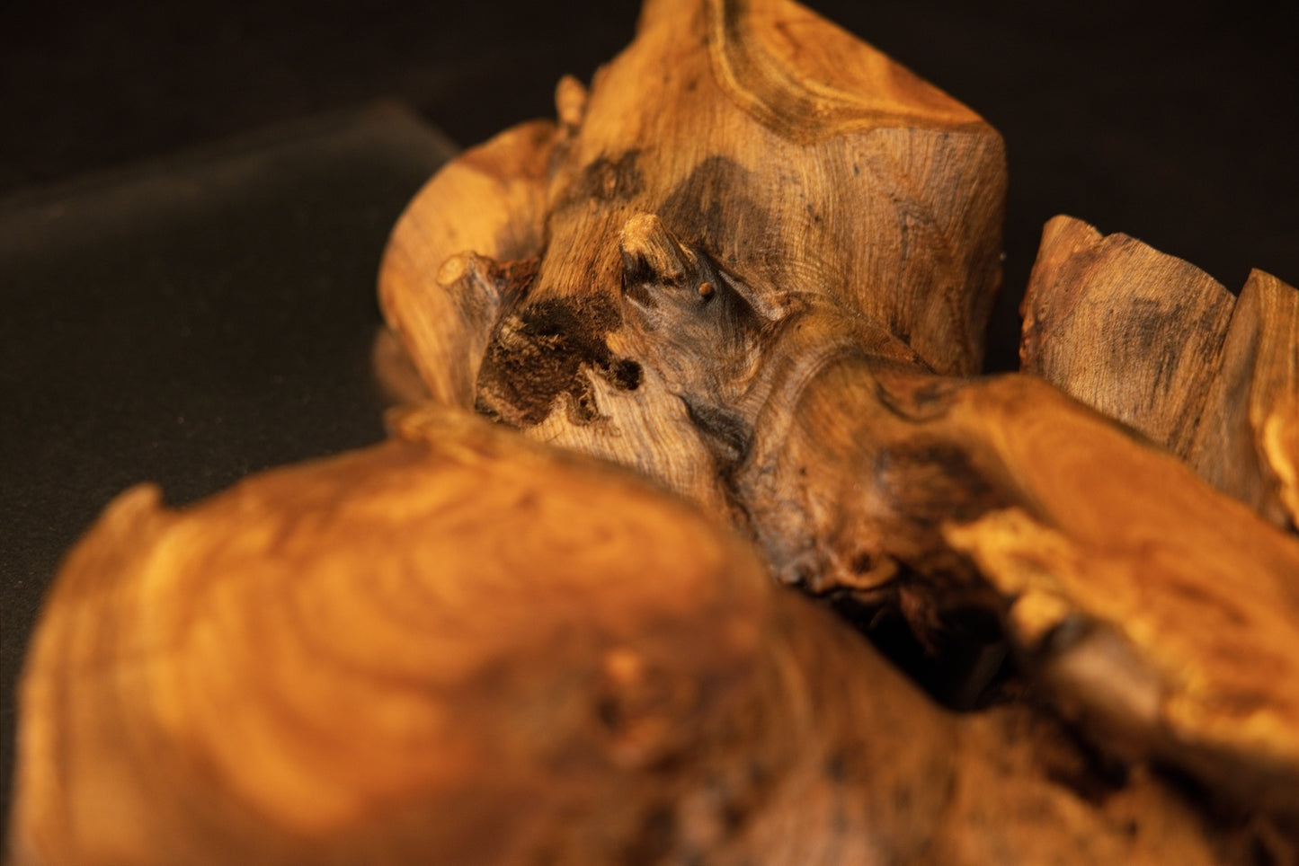 Macro perspective of textured wood knots and deep shadowed hollows on the upper section of the medium oak root art masterpiece.