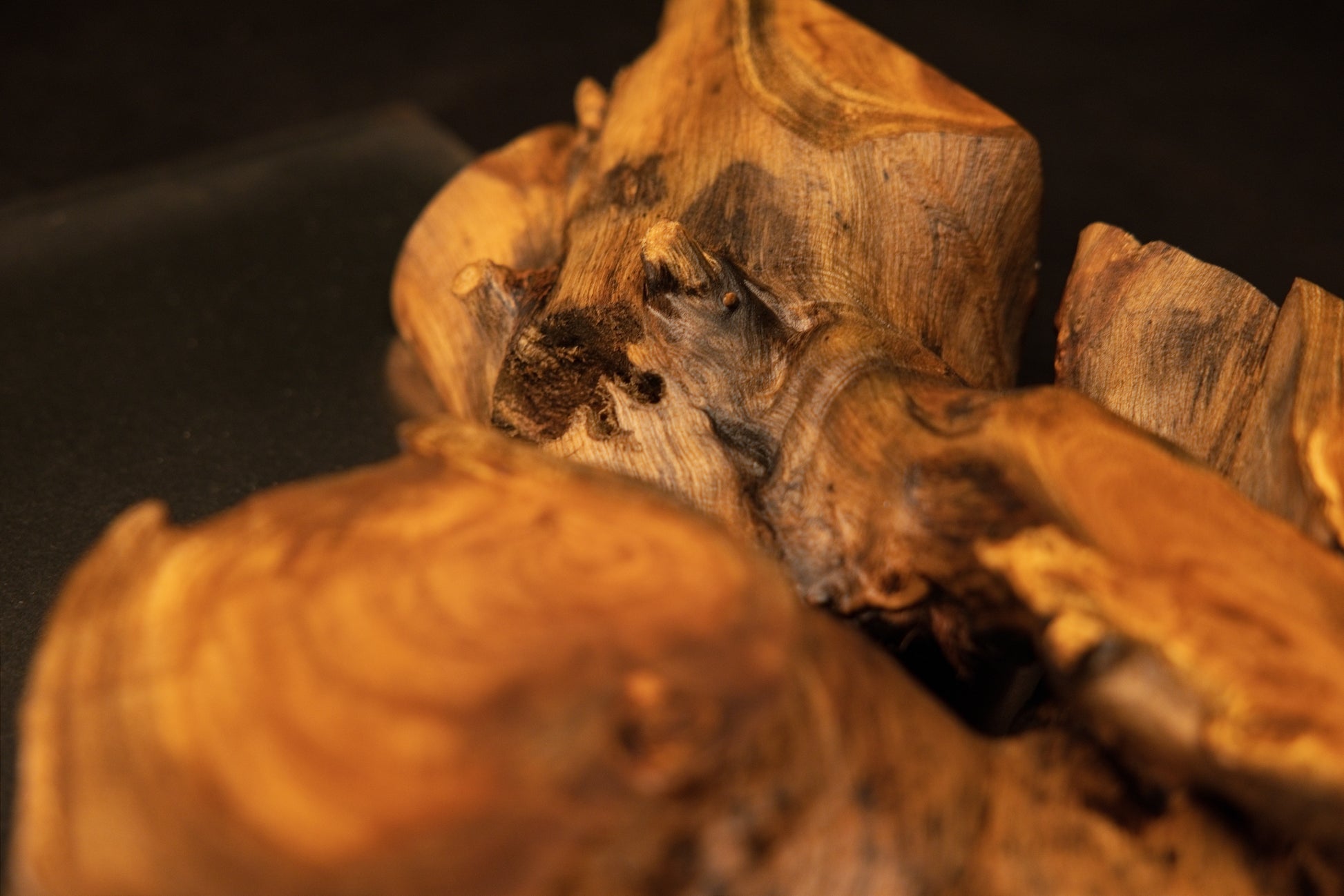 Macro perspective of textured wood knots and deep shadowed hollows on the upper section of the medium oak root art masterpiece.