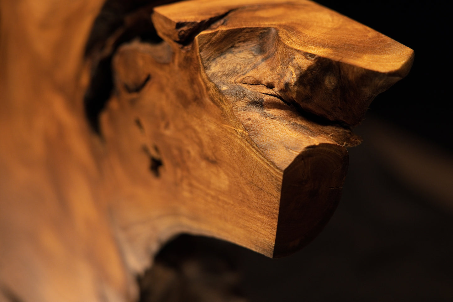 Angled macro view of a protruding woody block with a precision-cut top edge and rich organic grain patterns on the sculpture.