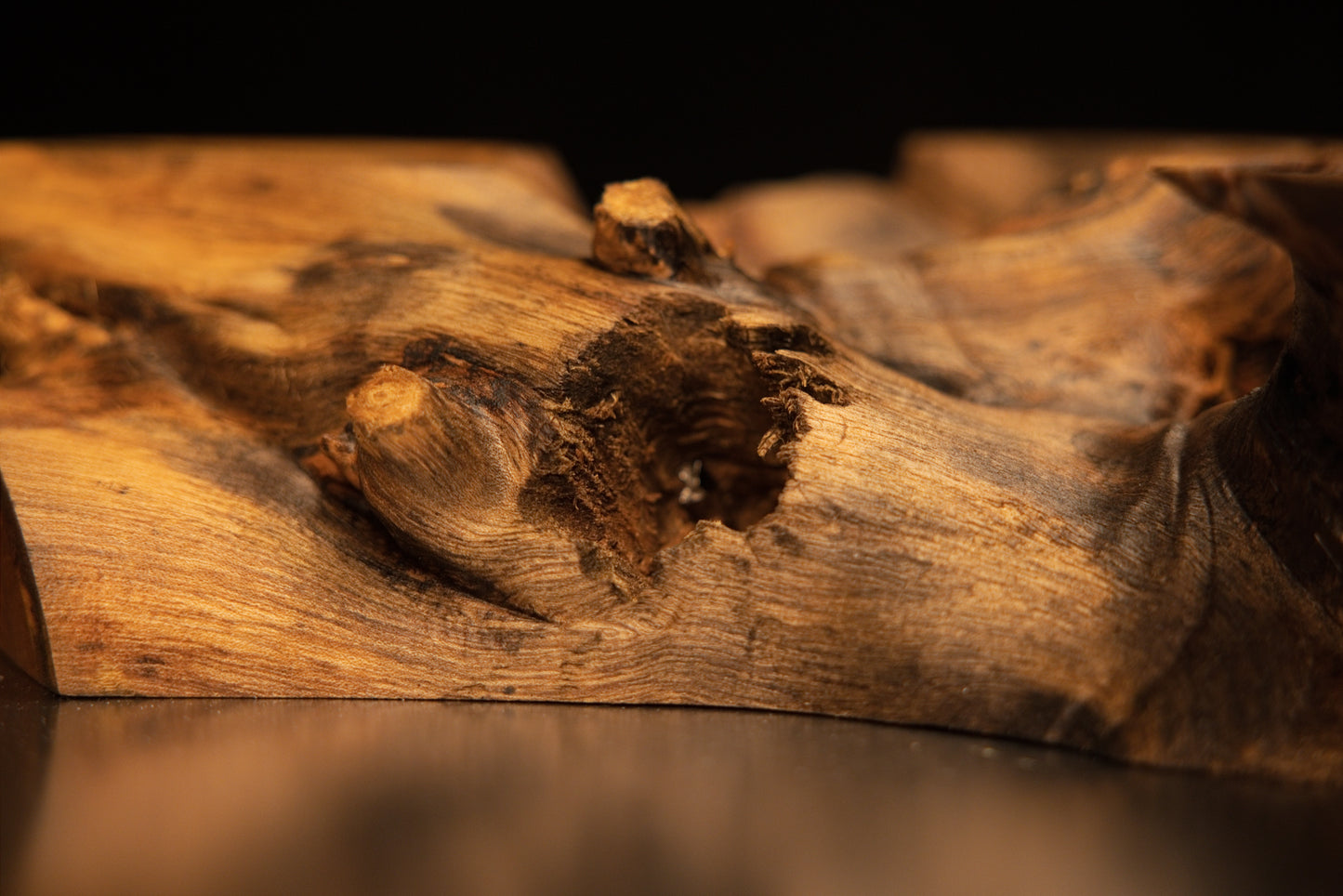Macro photograph of rough botanical textures and raised woody knots across the weathered surface of the medium oak root art piece.
