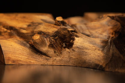 Macro photograph of rough botanical textures and raised woody knots across the weathered surface of the medium oak root art piece.