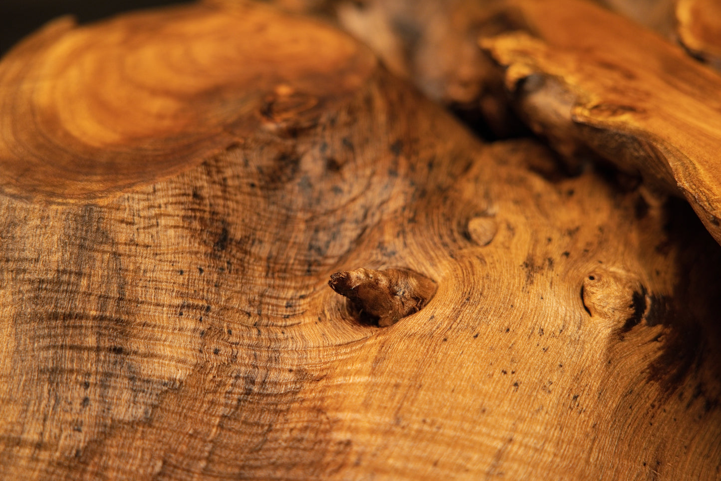 Macro view of a prominent circular wood knot surrounded by rippling grain and tiny pinholes on the medium oak root sculpture.