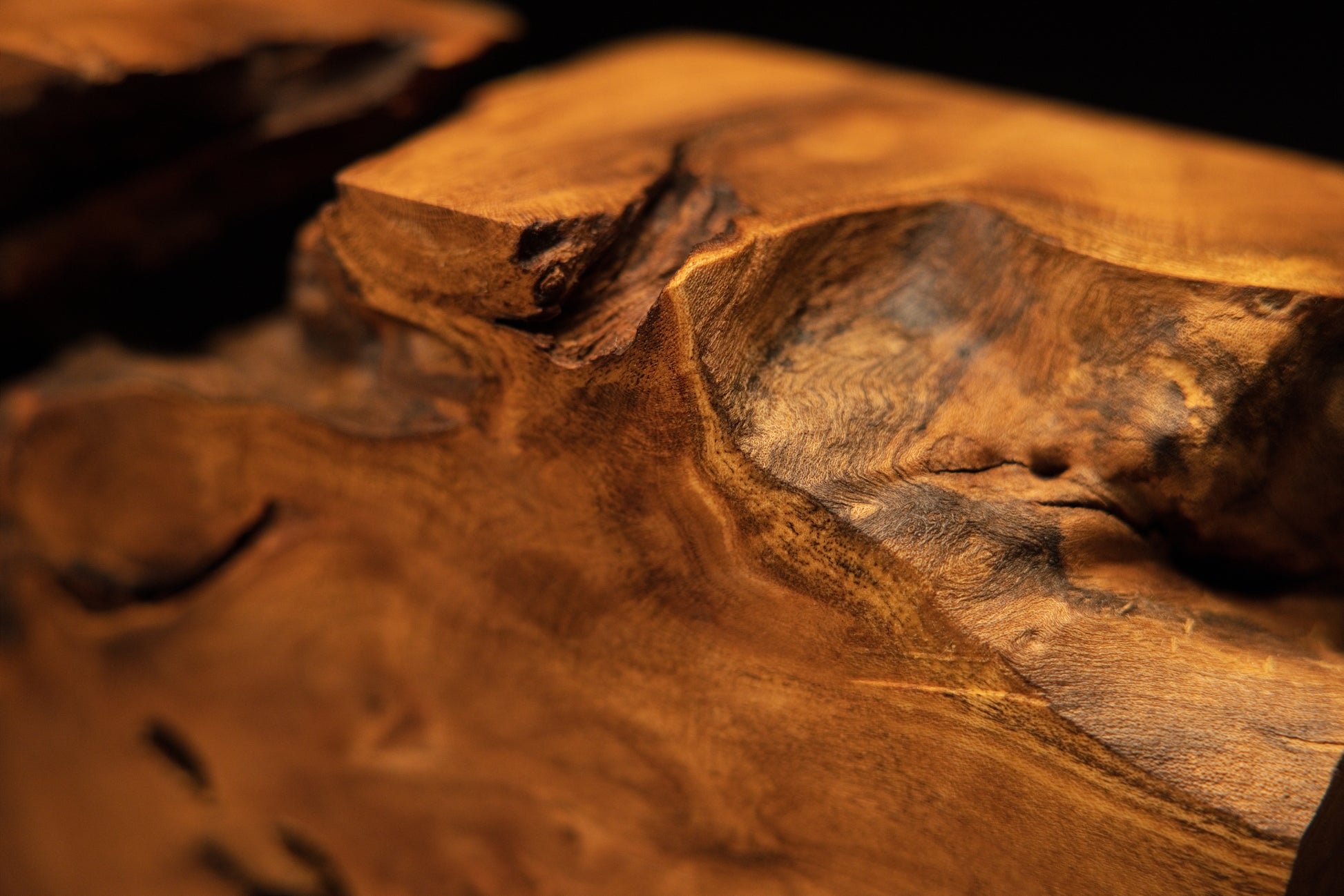 Angled close-up view of a sculpted solid wooden form featuring a hollow pocket and fine surface cracks on the medium oak root.