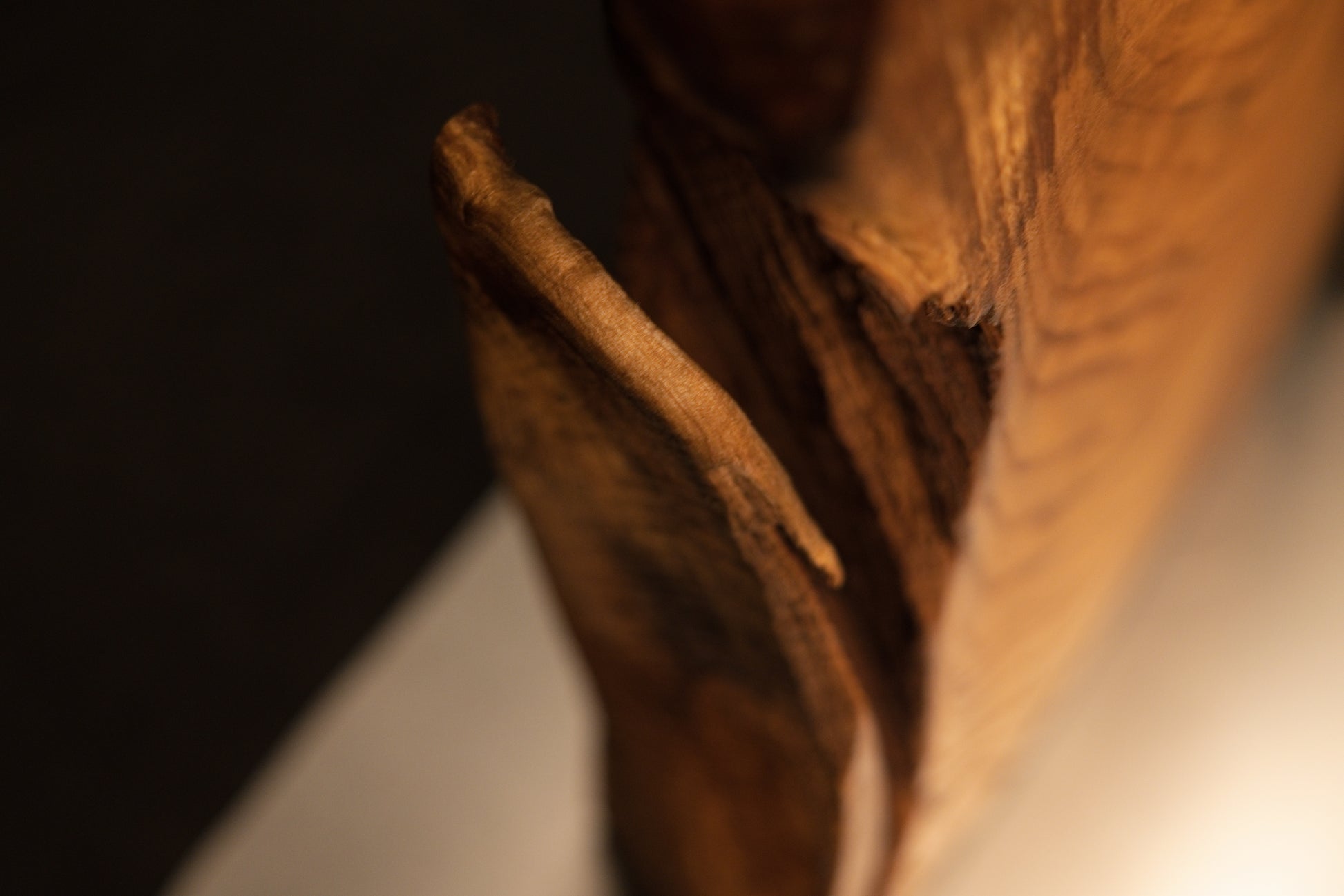 Macro view of a jagged broken wooden branch protrusion extending outward from the textured surface of the medium oak root sculpture.