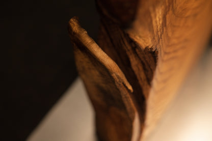 Macro view of a jagged broken wooden branch protrusion extending outward from the textured surface of the medium oak root sculpture.