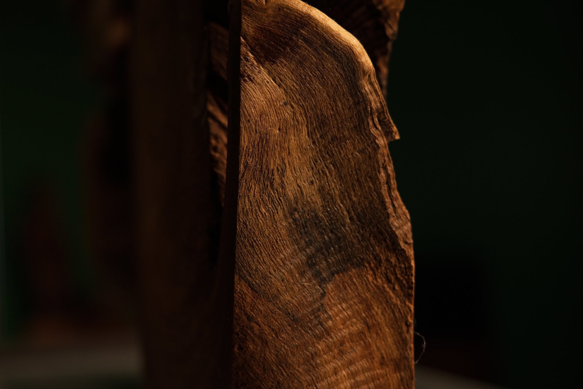 Close-up of a weathered vertical side profile highlighting deep soil mineral absorption and rich natural wood grain patination.