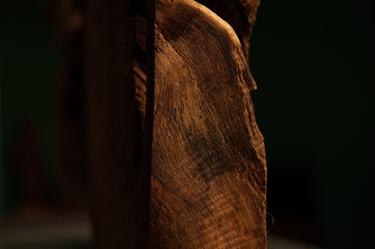 Close-up of a weathered vertical side profile highlighting deep soil mineral absorption and rich natural wood grain patination.