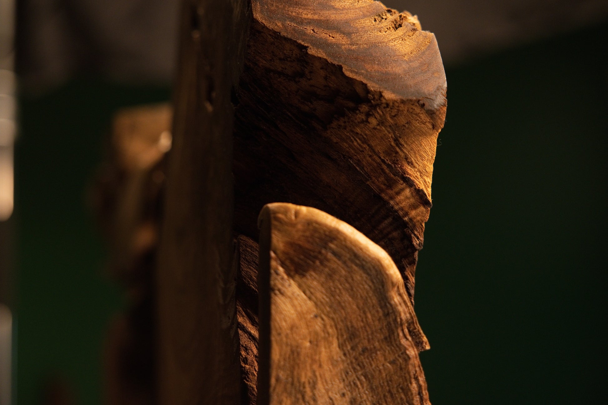 Angled close-up of a sculpted oak element showing the intricate convergence of smooth grain and rugged weathered botanical edges.