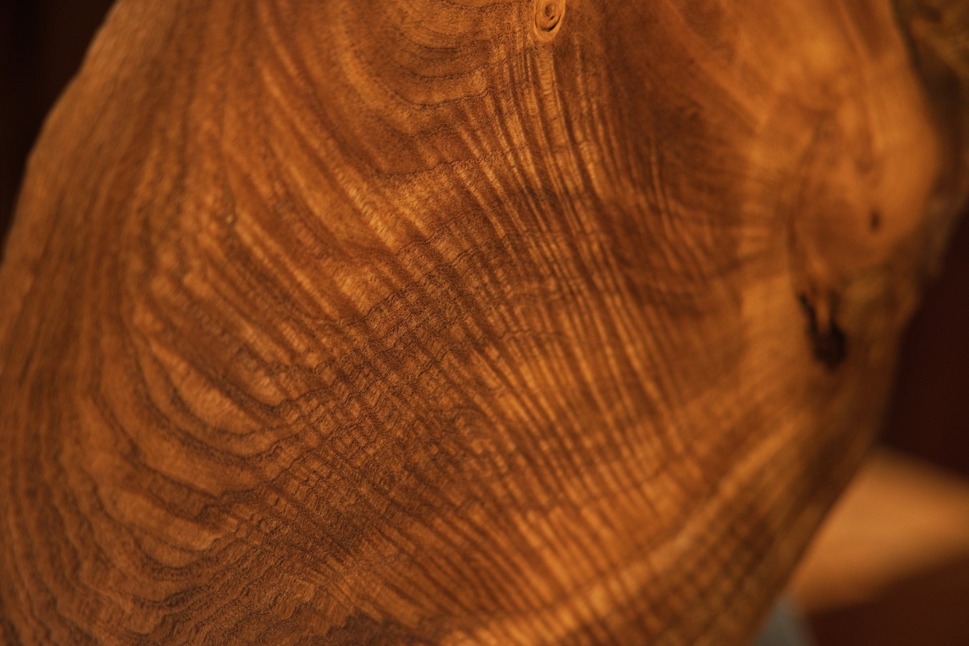 Close-up macro of rippling grain patterns flowing smoothly across the warm polished curved surface of the medium oak sculpture.