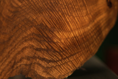 Detailed macro photograph capturing fine linear wood textures and subtle color variations across the smooth structural timber face.