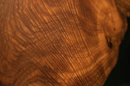Macro view focusing on uniform vertical grain orientation and rich warm golden color consistency on the medium oak sculpture face.