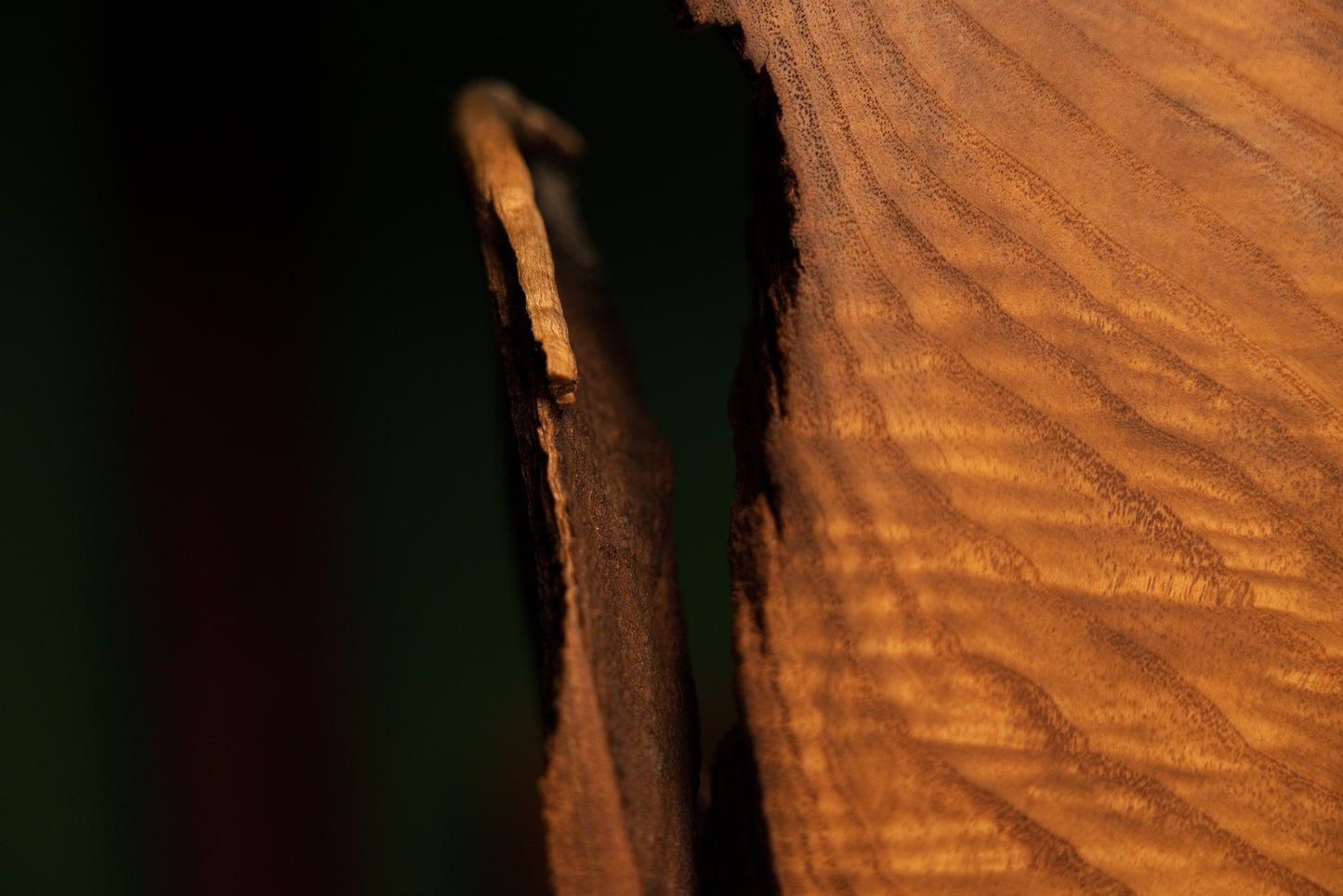 Close-up perspective of a narrow vertical opening between two heavy wooden blocks revealing dark shadows and rich grain textures.