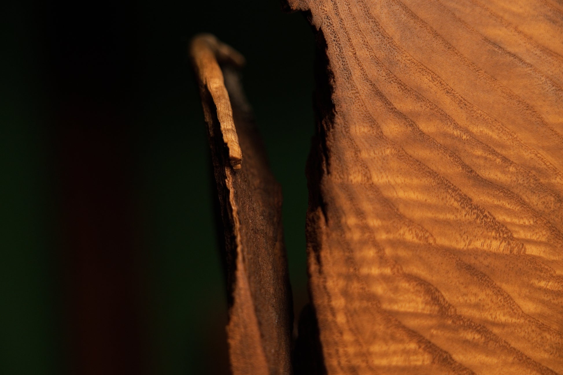 Close-up perspective of a narrow vertical opening between two heavy wooden blocks revealing dark shadows and rich grain textures.
