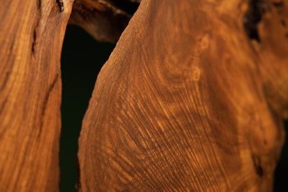 Detailed macro view capturing smooth golden wood grain converging dynamically around a deep dark cavity on the medium oak root.