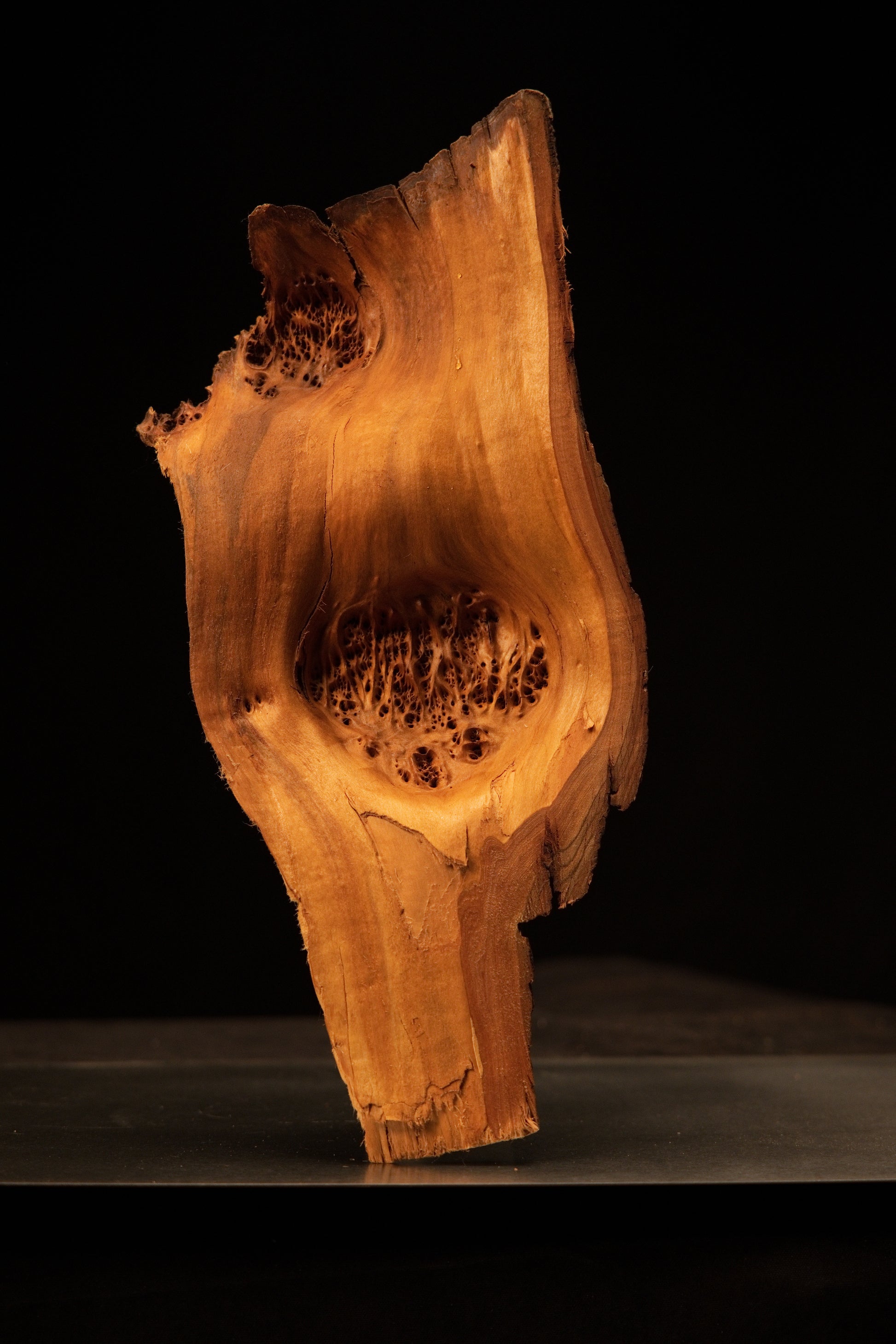 Front standing view of a relic-grade botanical wood sculpture highlighting a deep natural burl cavity and historic golden hues. 