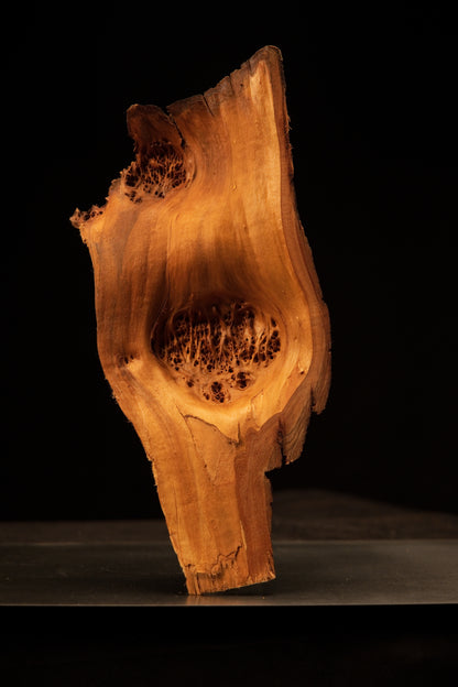 Front standing view of a relic-grade botanical wood sculpture highlighting a deep natural burl cavity and historic golden hues. 