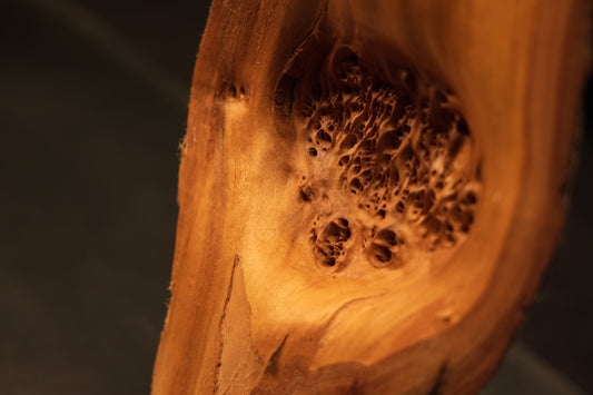 Macro detail of an epoxy-free central burl cavity in a climate-stable architectural wood piece revealing chaotic natural voids. 