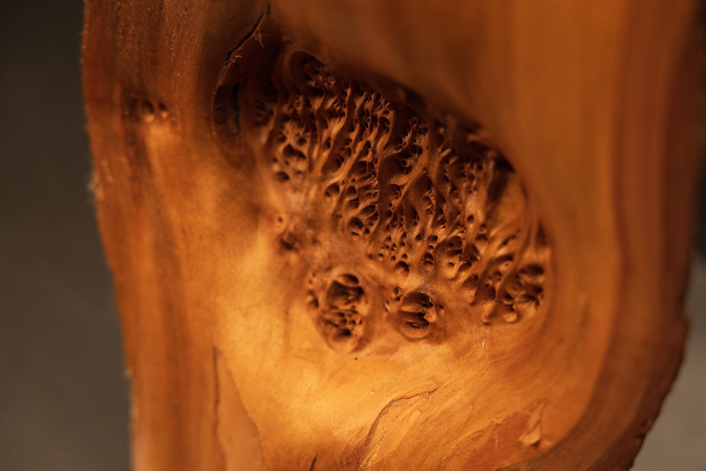 Close-up of a resin-free biophilic wood art surface revealing deep honeycomb organic voids and unreplicable biological geometry. 