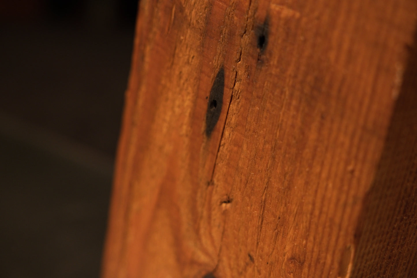 Close-up detail of a dark oxidized nail cavity on a thermally modified heritage beam highlighting authentic biological patina.   