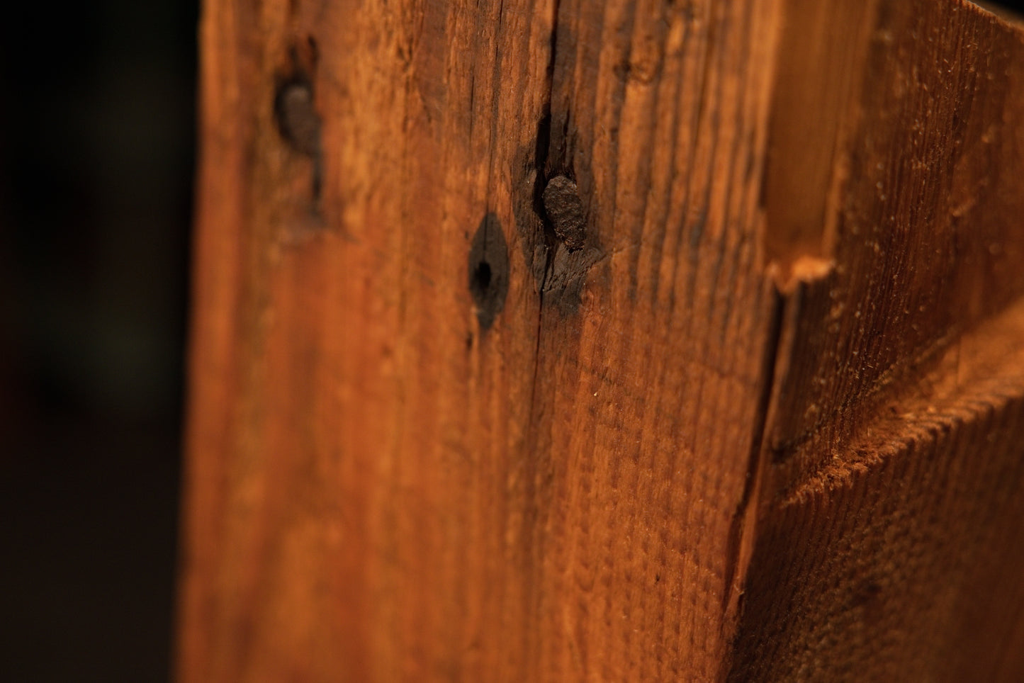 Detailed macro of a deep structural cavity within an epoxy-free botanical heritage beam revealing century-old internal textures.   