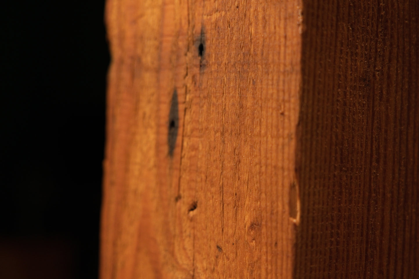 Detailed focus on natural micro-porous textures and dark historical nail voids embedded in a museum-grade architectural timber.   